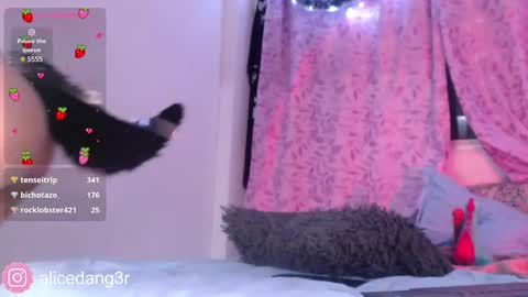 Snapshot of alicedang3r chatting on December 15, 5:13 am Alice  online show from December 15, 5:13 am