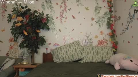 Snapshot of aliceriverscam chatting on December 17, 9:16 pm Alice Rivers ---- Enter my public Discord-  online show from December 17, 9:16 pm