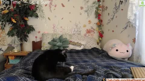Snapshot of aliceriverscam chatting on January 18, 8:40 pm Alice Rivers ---- Enter my public Discord-  online show from January 18, 8:40 pm