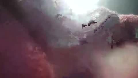 Alison online show from December 2, 6:13 am