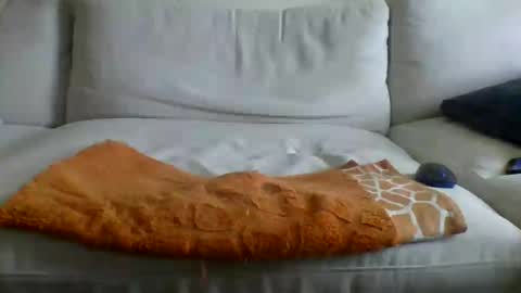 allbermy online show from June 12, 2:38 pm