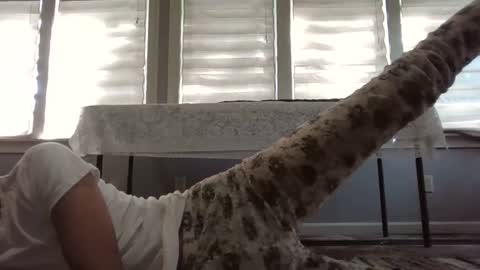 wishlist on bio online show from September 11, 6:31 pm