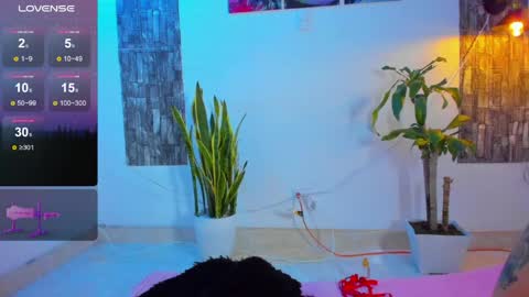 Allison sc online show from April 7, 9:28 pm