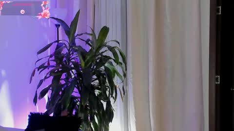 Amatista online show from October 1, 11:47 pm