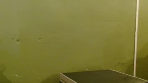 Mari online show from March 30, 1:55 pm