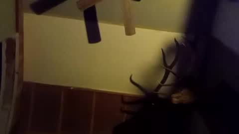 ammoman22 online show from March 9, 5:55 am