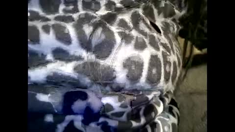 ancaioana2196 online show from February 4, 1:37 pm