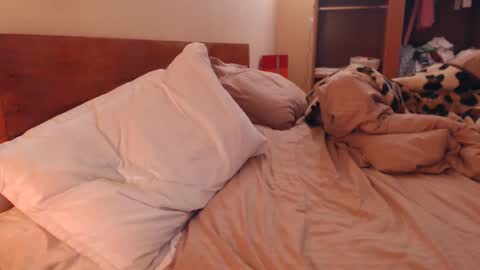 Andra online show from February 6, 3:27 am