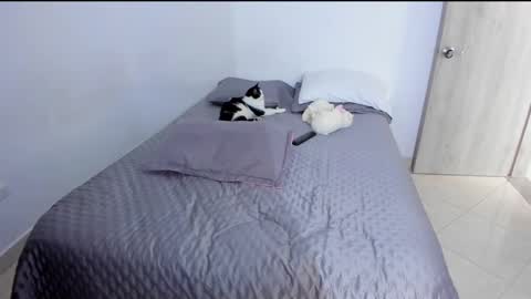 Andrea online show from March 2, 9:43 pm