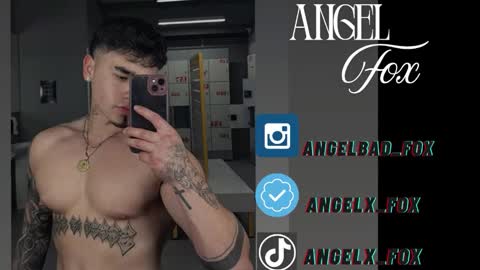 Angel Fox online show from November 13, 9:39 pm