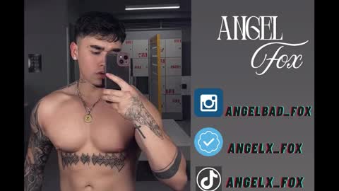 Angel Fox online show from October 13, 9:39 pm