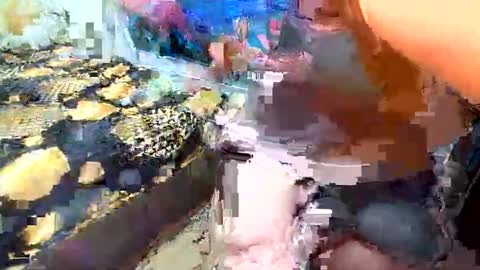 Snapshot of annaxgoldx chatting on September 19, 8:29 am AnnaxGoldX online show from September 19, 8:29 am