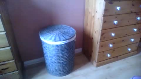 annecharlie online show from November 12, 1:57 pm