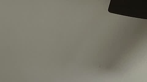 anydaynow2024 online show from December 15, 5:42 pm