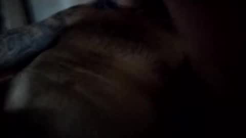 anything4tokens1971 online show from February 1, 11:53 am