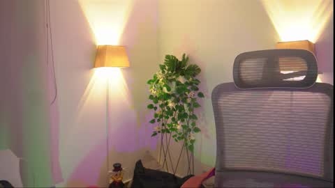 insta appolo master online show from November 29, 5:04 am