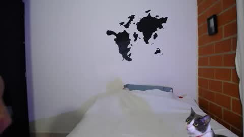  777 online show from February 1, 5:15 am