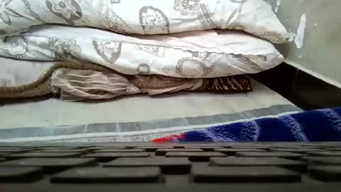 art_max99xxx online show from January 16, 1:16 am