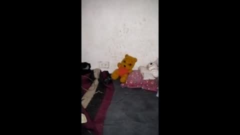 Arthemisa online show from April 26, 7:28 am