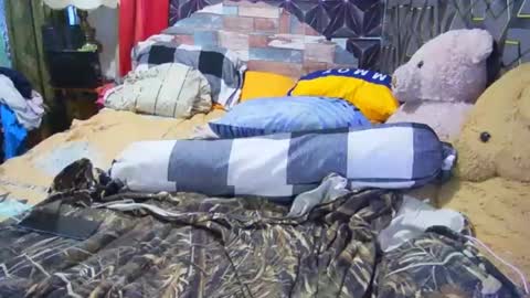 Sofia online show from December 17, 7:39 am