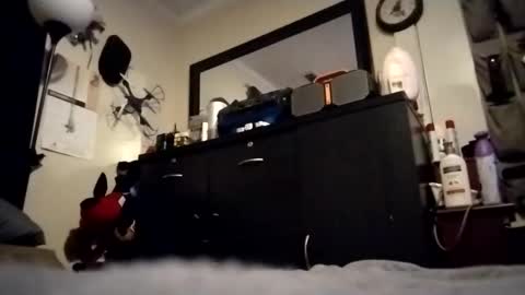 askme2shou online show from November 27, 9:39 am