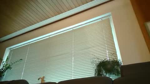 asusandy online show from February 28, 1:14 pm