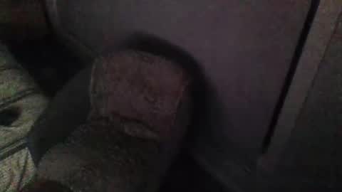 aszttz online show from February 8, 2:27 pm