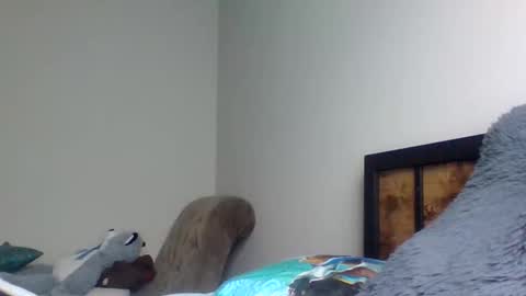 austindabreeder online show from February 22, 5:04 pm