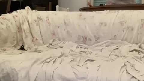 bach online show from February 12, 4:44 pm