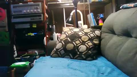 badcady0 online show from October 16, 3:17 am