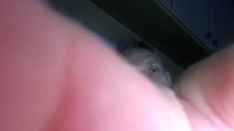 badger150 online show from December 22, 11:41 pm