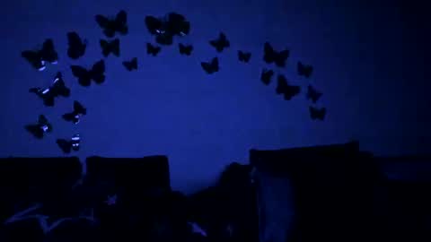 Gina online show from February 12, 6:09 pm