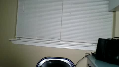 Badgirlbritt your favorite girl  online show from December 4, 11:04 pm