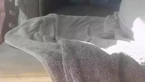 baker305 online show from February 12, 2:09 pm