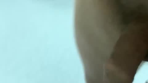 Snapshot of bambratishka chatting on October 22, 7:04 pm bambratishka online show from October 22, 7:04 pm