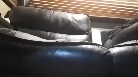 baobabtree10 online show from November 14, 10:06 am