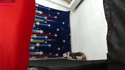 Barbie online show from March 3, 1:12 am