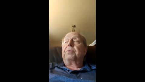 barbitall online show from April 7, 5:37 pm