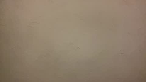 bayleyseth online show from February 5, 7:31 pm