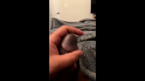 bbc4_fun online show from February 23, 6:07 am