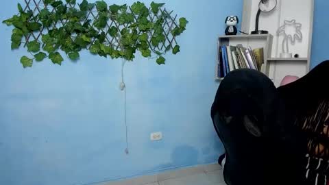 Charlote online show from November 14, 12:18 pm