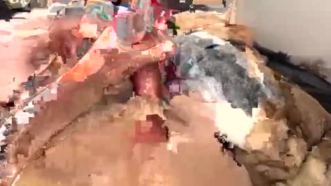 bdm69233506 online show from February 13, 5:01 pm