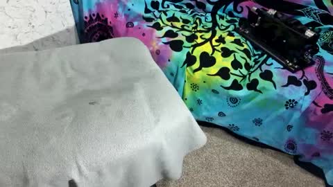 mikiforfun online show from September 24, 1:01 am