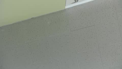 Ben online show from March 2, 7:45 pm