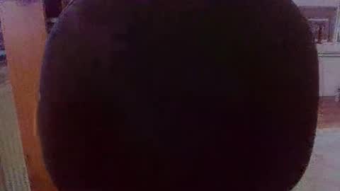 bestmann979994 online show from January 8, 2:56 pm