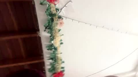 Snapshot of bianca_and_maxwell chatting on December 15, 7:42 pm bianca and maxwell online show from December 15, 7:42 pm