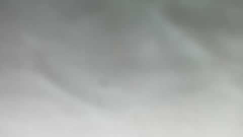 Ben online show from November 17, 12:52 pm