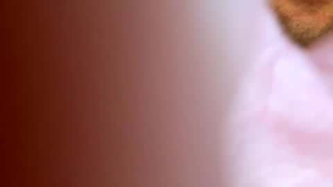 Buster685 online show from November 30, 7:48 am