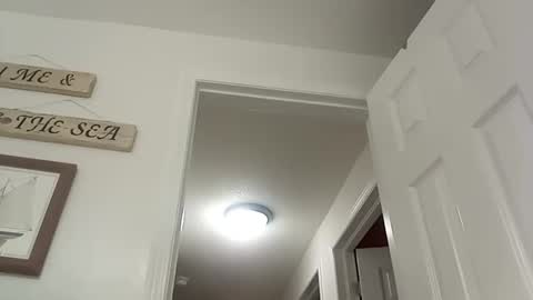 Snapshot of bigcumcanada chatting on December 19, 8:55 pm bg online show from December 19, 8:55 pm