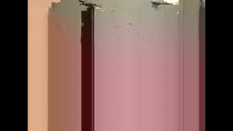 bigdaddydongarlets391292 online show from October 12, 12:42 pm